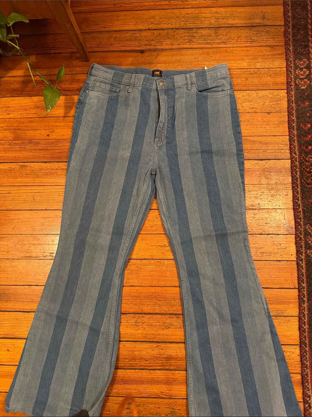 Lee Blue Striped Flare Jeans